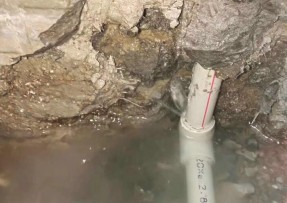 扬中家庭水管漏水检测